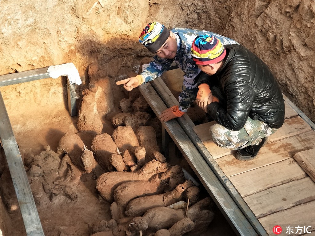 26̖�Ĕz�Ŀ��ŬF����