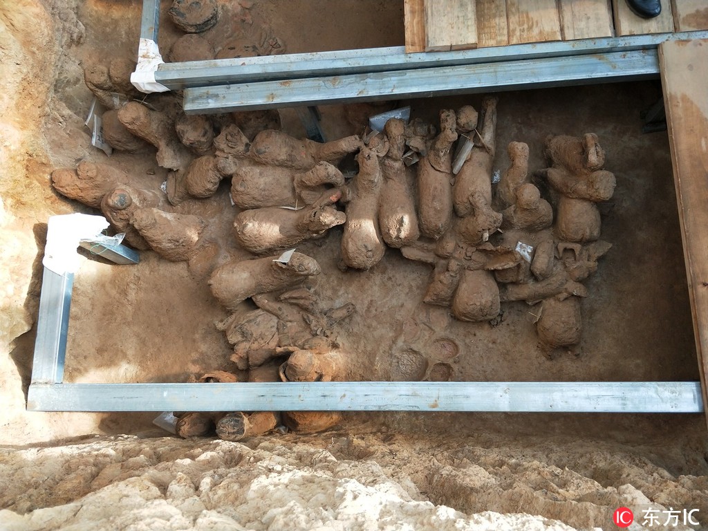 26號拍攝的考古現場。