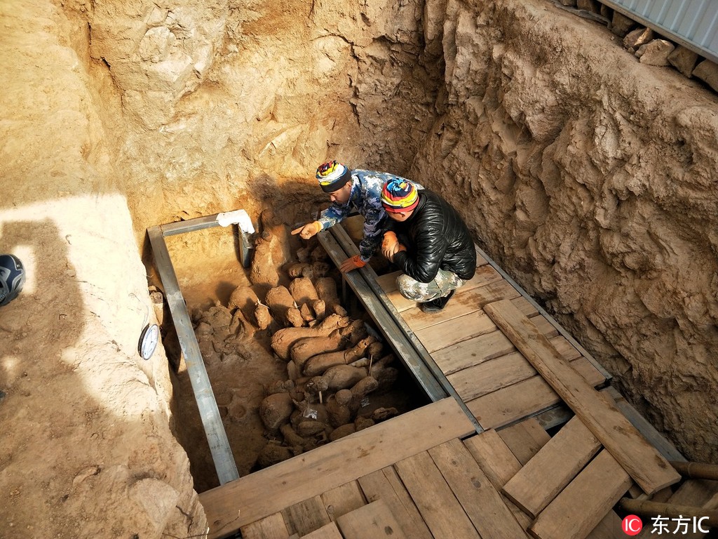 26̖�Ĕz�Ŀ��ŬF����