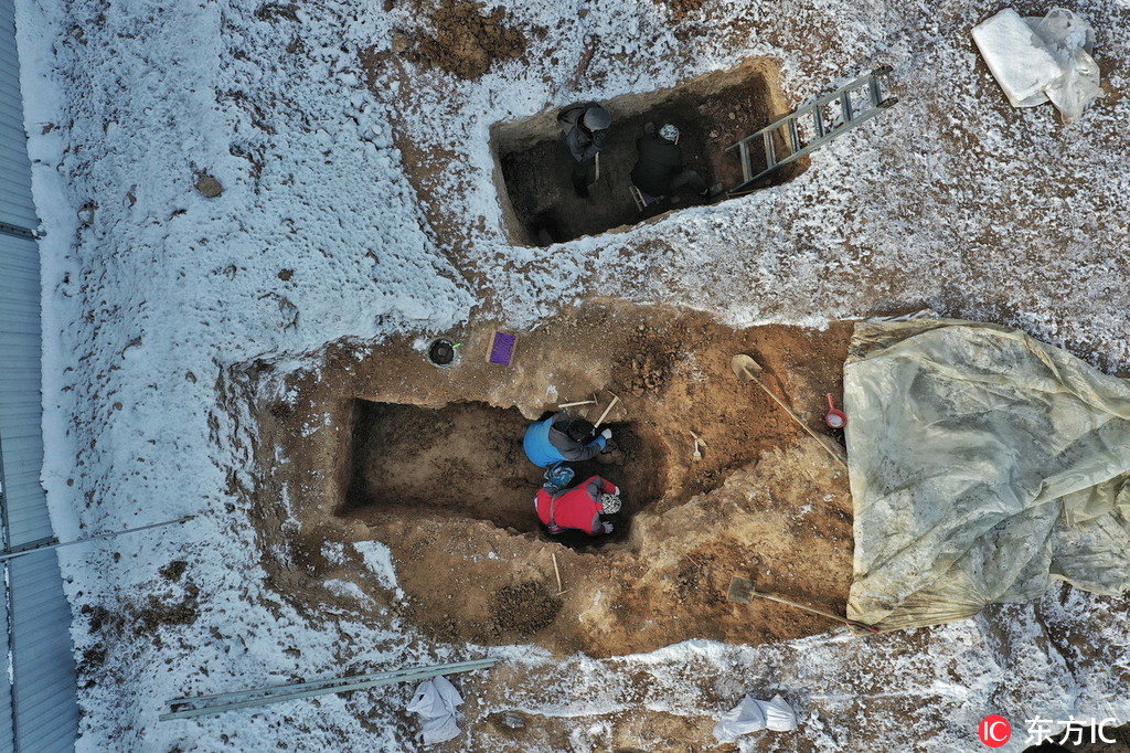 26̖�Ĕz�Ŀ��ŬF����