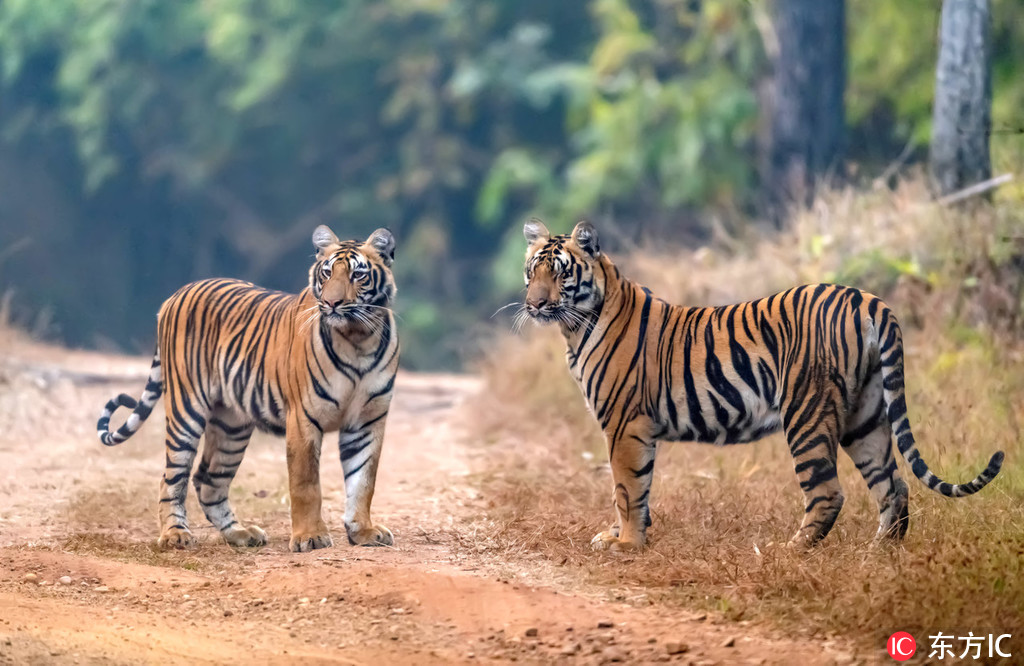 ӡ�ȴ��ϻ�����ˣ���^�� ��˦�������ȫ�_��3��