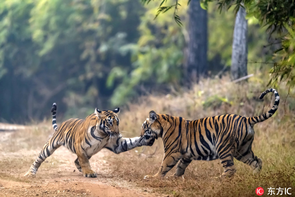 ӡ�ȴ��ϻ�����ˣ���^�� ��˦�������ȫ�_��2��