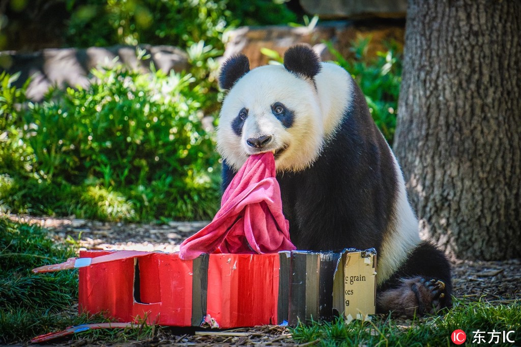 �ðĴ���؈���W�W����ԡϴ�� ������ĭ�����ˡ�4��