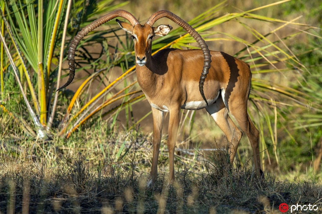 ���၆�ڰ���Ǻ�Ҋ���ص����L��4��