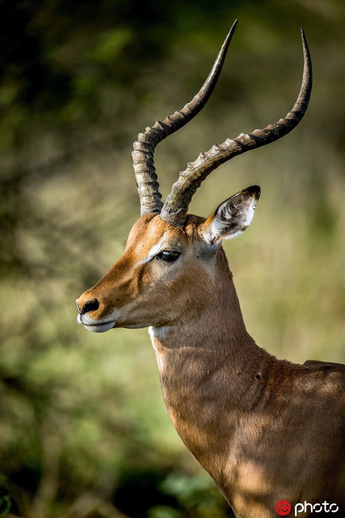 ���၆�ڰ���Ǻ�Ҋ���ص����L��5��