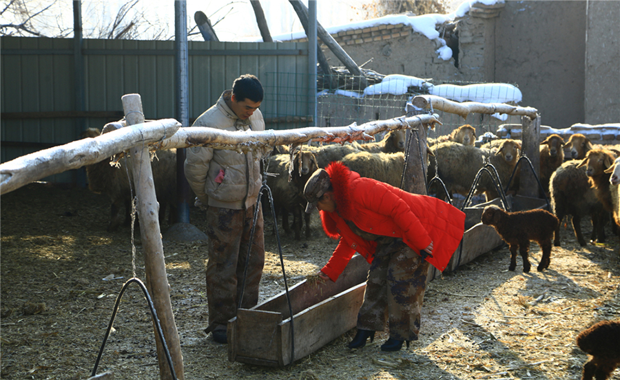 10.ƽͷOҲ鿴ͥԺBֳBr(wAzӰ)