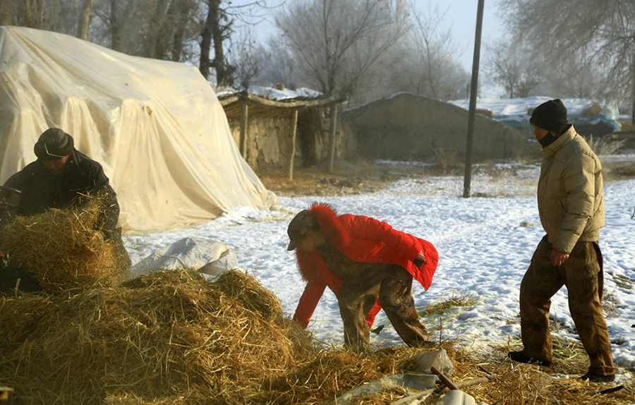 7.鿴BBֳҵݷͰȫѷr(wAzӰ)