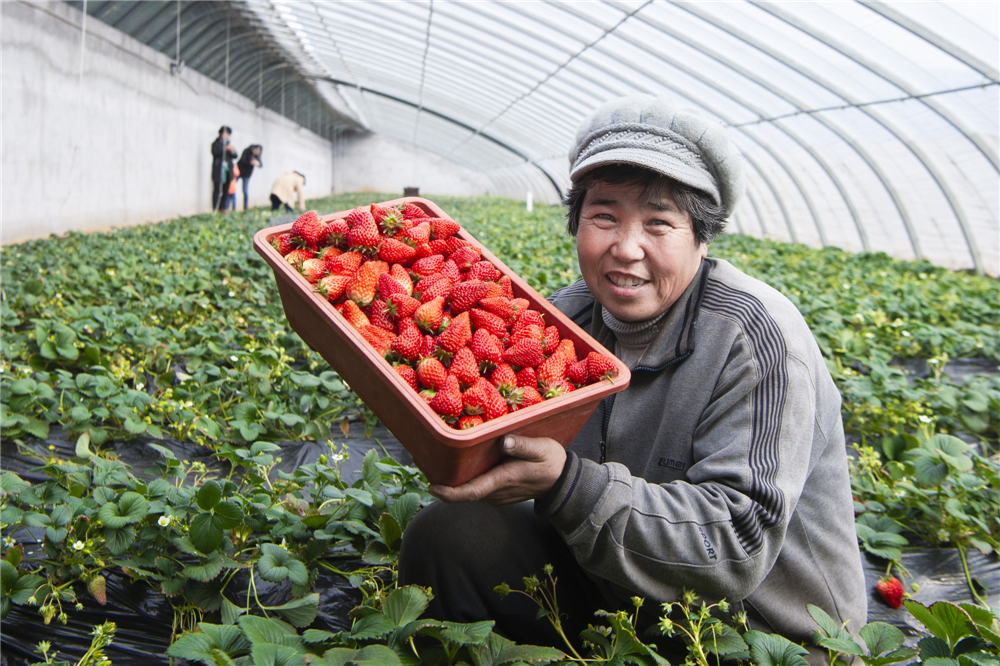 11.A196356qӷּ^σɿڼrѽrļgˆT2000Ԫ(ԶzӰ)