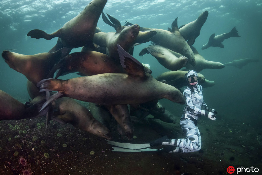 ��ˮ�T�c��Ⱥ���{��ˣͬ�� ������C��2��