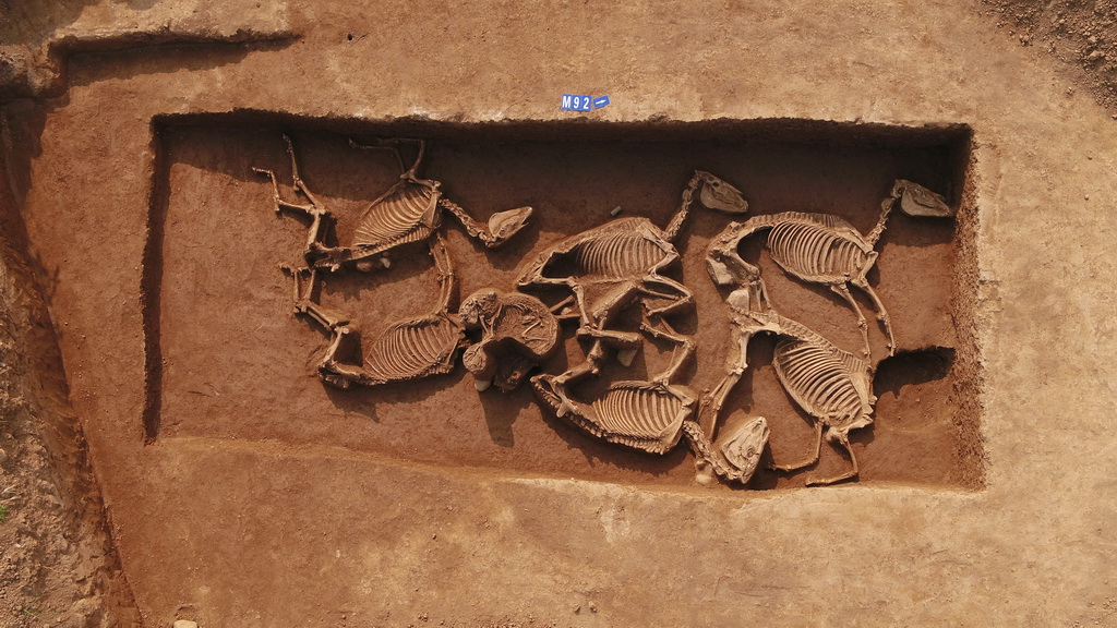 @RӣYƬo˙CĔzAl