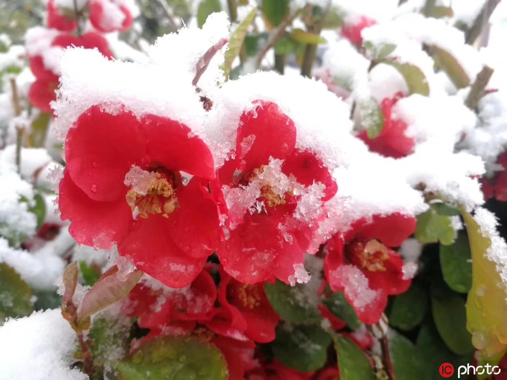 ǃѩӾɫ ɽ^һƬybع11