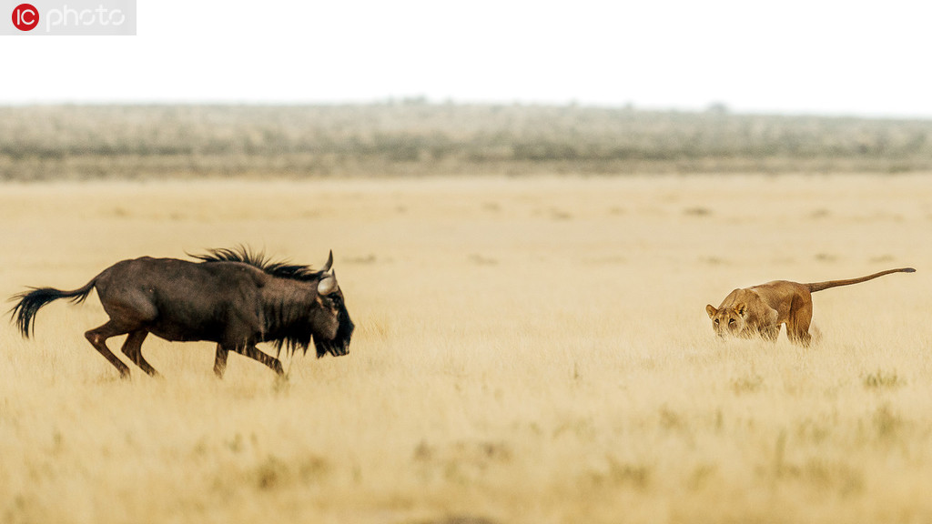 ķ@ôwȻѫC֡FR\2