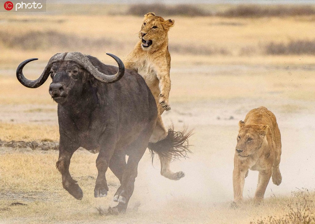 ����ķ�����@ô�w������Ȼ����ѫC�֡����F�R�����\��7��