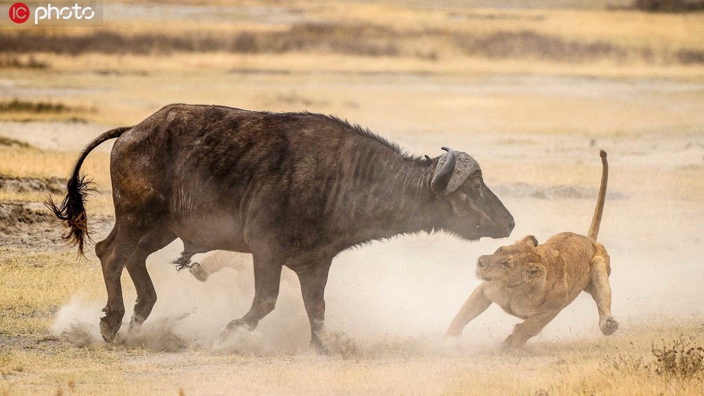 ����ķ�����@ô�w������Ȼ����ѫC�֡����F�R�����\��8��