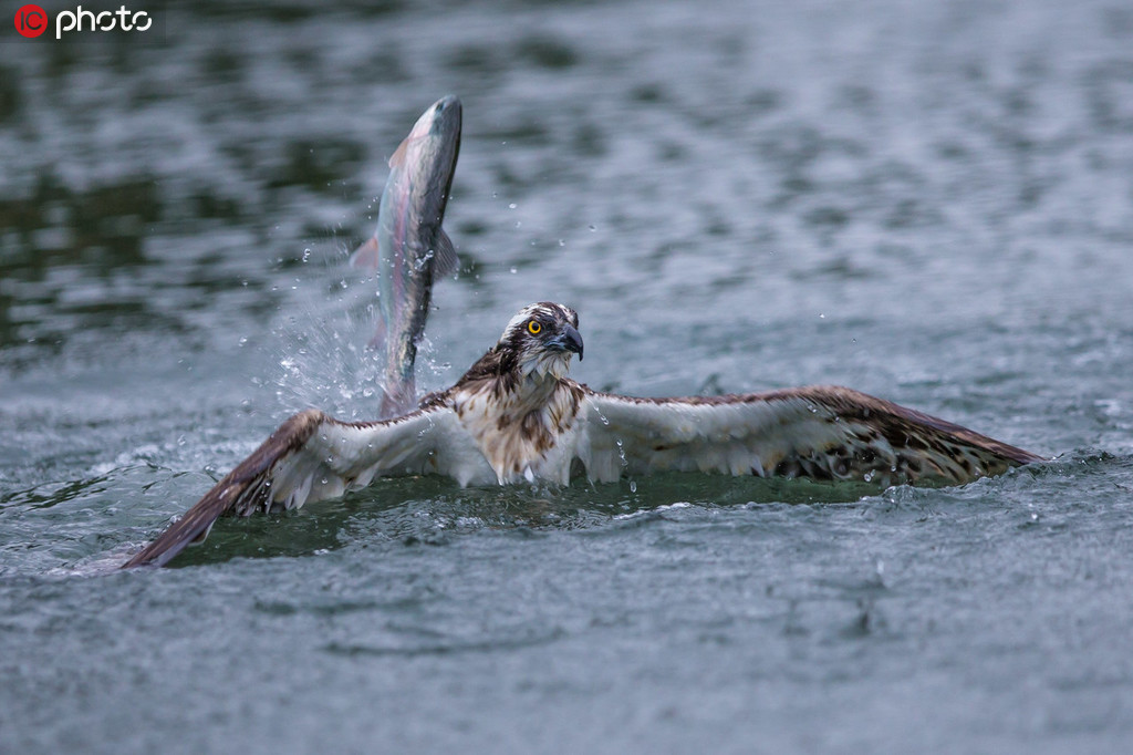 ����ķ�����@ô�w������Ȼ����ѫC�֡����F�R�����\��4��