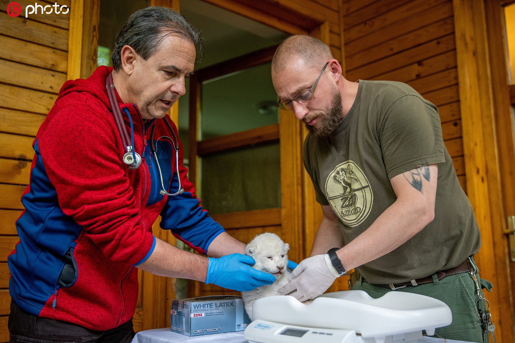 �ϷǪ{����������������@���_���� �������ȳ��ɐۡ�4��