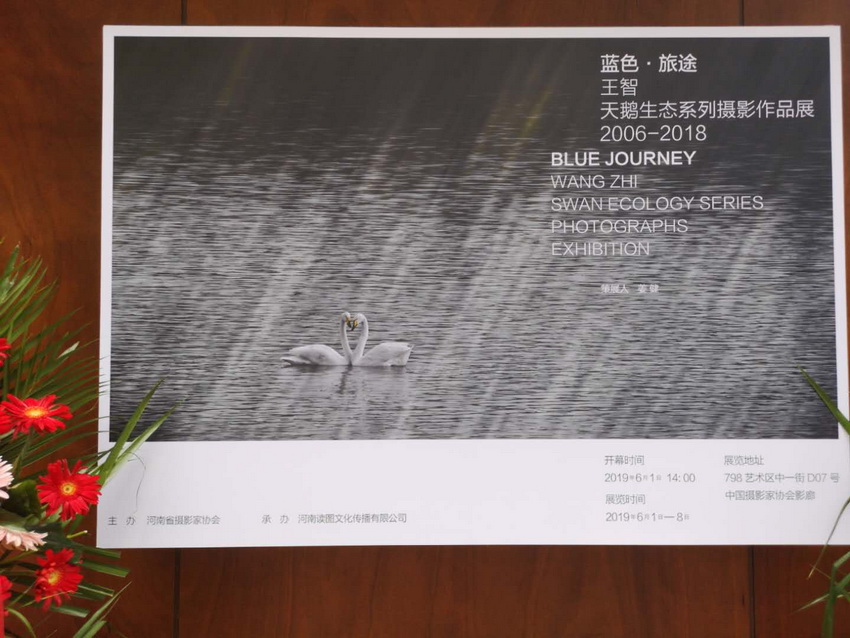 {ɫ ;ZBϵӰչW η/z