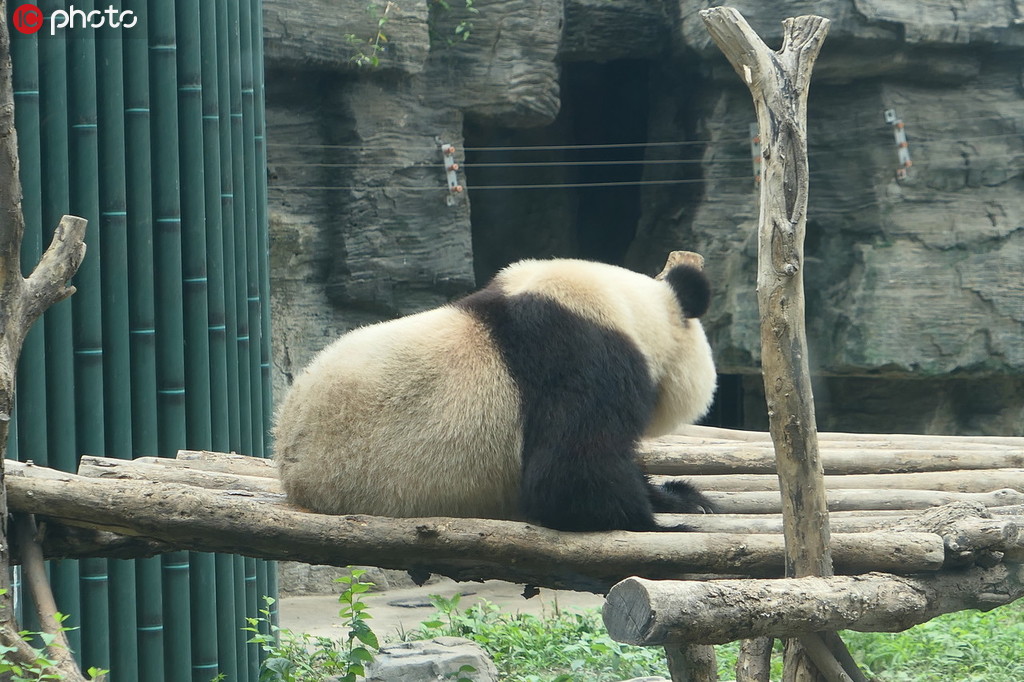 �����������ˬ ����؈��˯���B���䡾3��