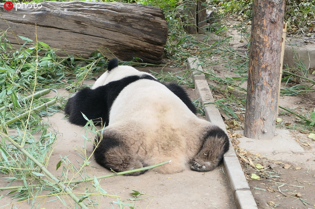 �����������ˬ ����؈��˯���B���䡾4��