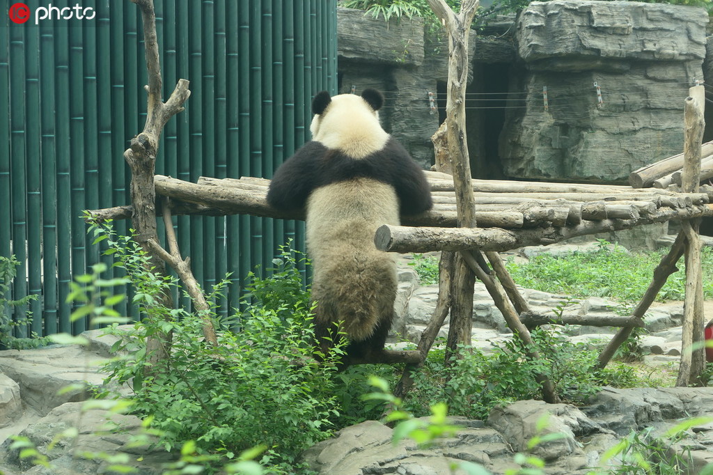 �����������ˬ ����؈��˯���B���䡾2��