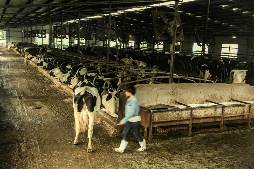 3.rѽɞ鏈tеҪMɲÿ춼Ҫz܇gÿһh(GzӰ)