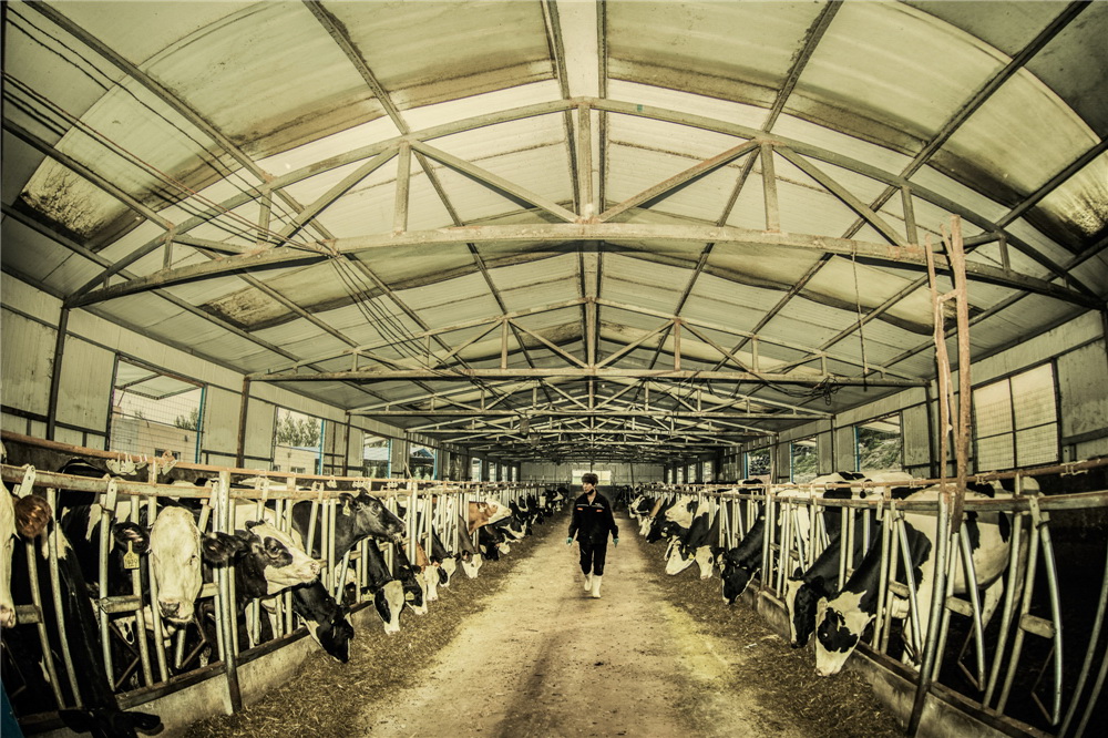 2.tסBţÿ峿4c11cYһֱĸ헹æµ(GzӰ)