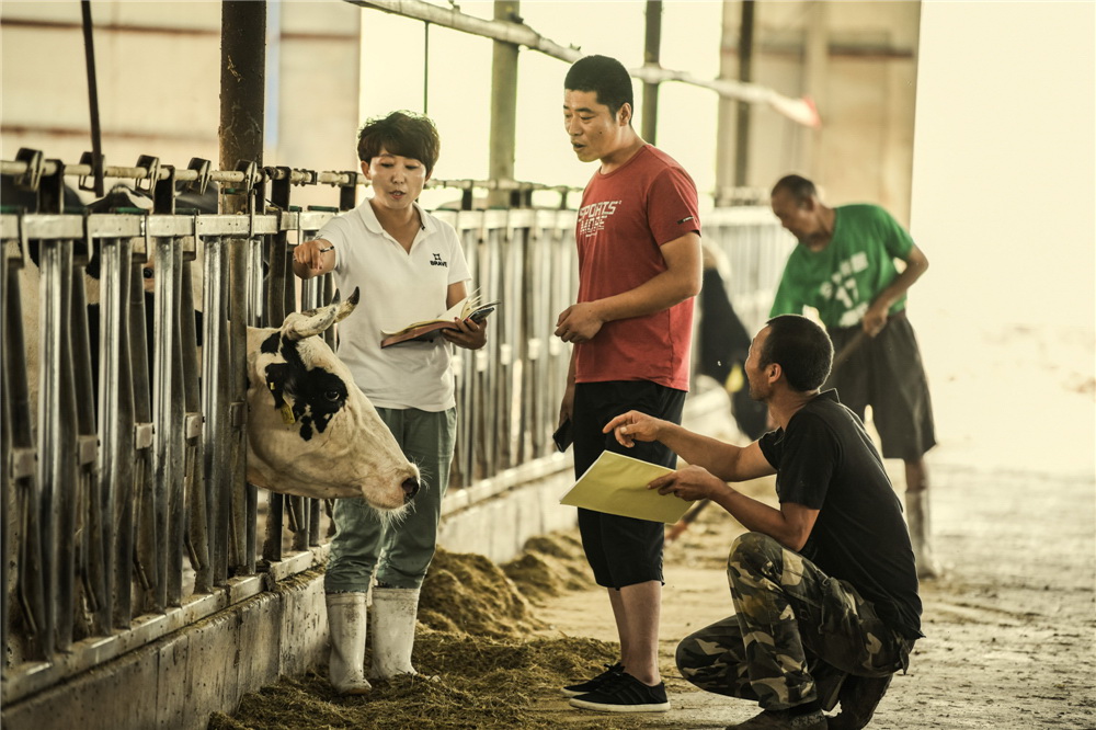 4.cgˆTһWBţP֪R^ţ(GzӰ)