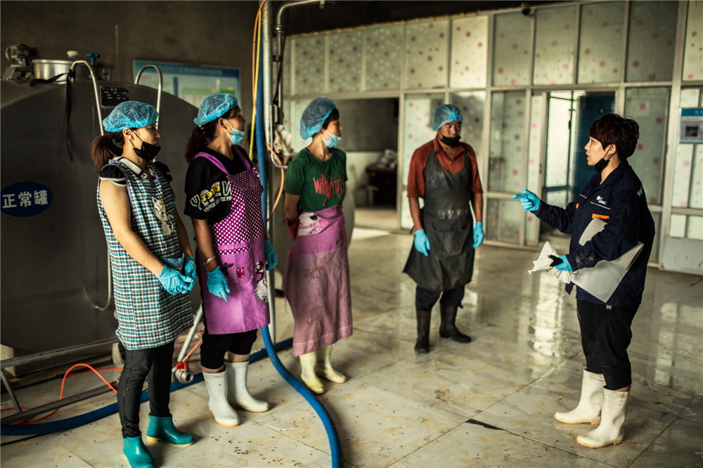 6.oD܇gĹn{ͰȫlȆ}(GzӰ)