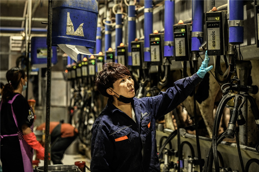 5.D܇gMXƌWBţȫCеI(GzӰ)