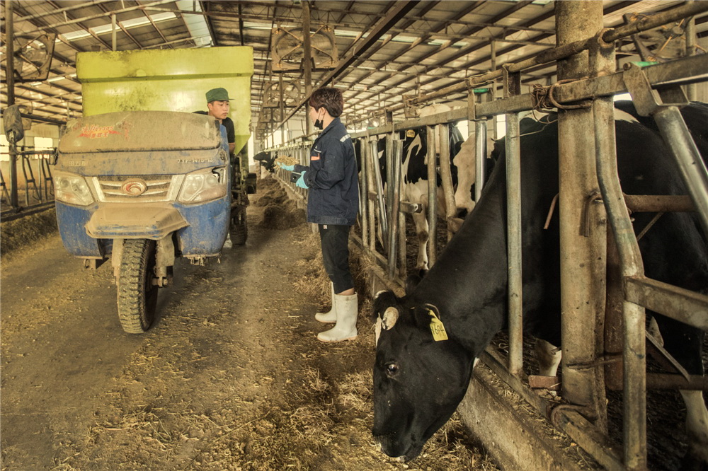 7.挦SrSĸN}tr̎rQ(GzӰ)