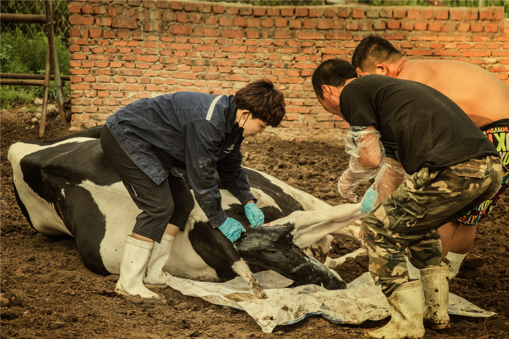 10.rĸţyafHoĸţ혮aţһwĲŽK(GzӰ)