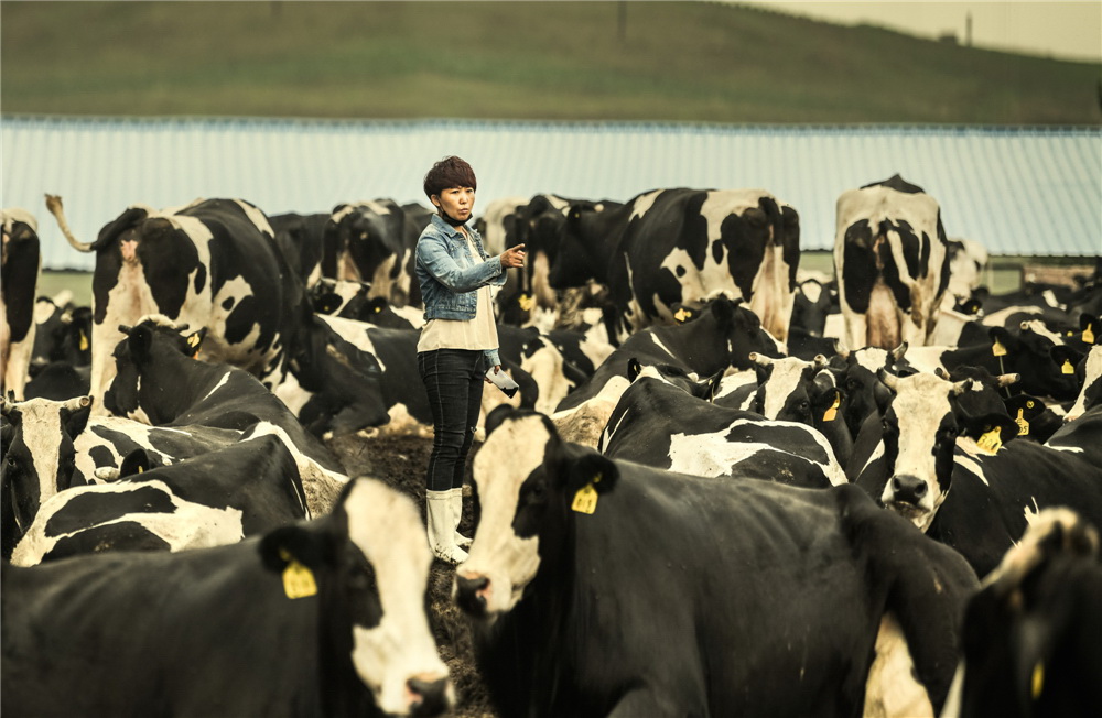 12.tÿնţMѲ(GzӰ)