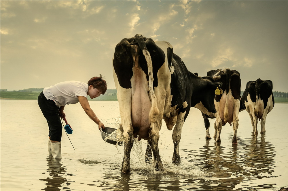 11.һӵĸߜؓtI^ĸţںϴ轵(GzӰ)