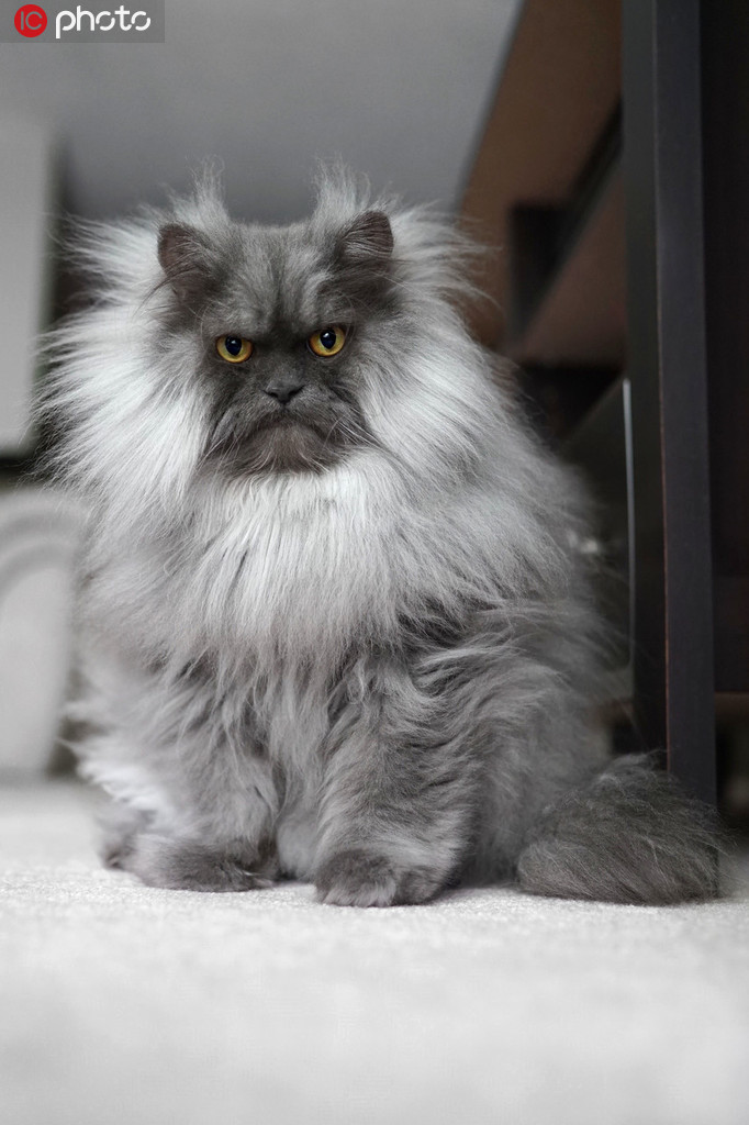 ؈Ę߼t ۽z鲼ȫ硾6