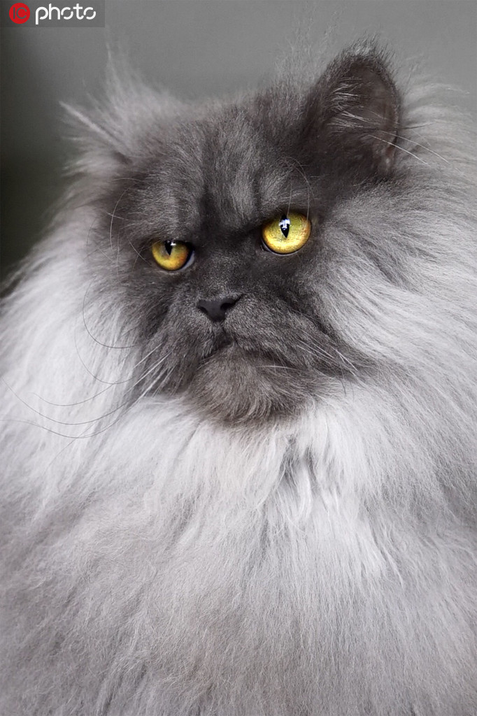 ؈Ę߼t ۽z鲼ȫ硾3