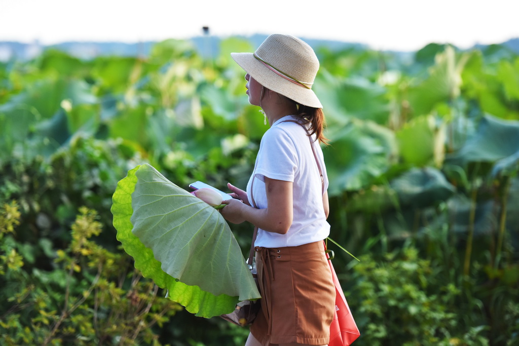 οڽϲxhˮϴĺɻ[88Քz