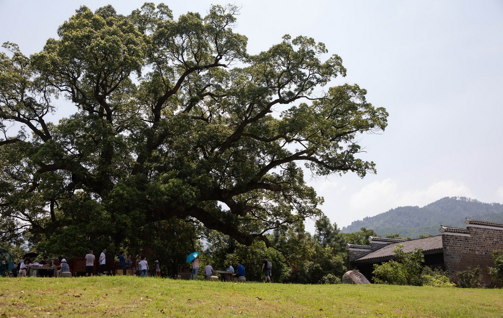 @ǽʡxhŴ_ǧ88Քz