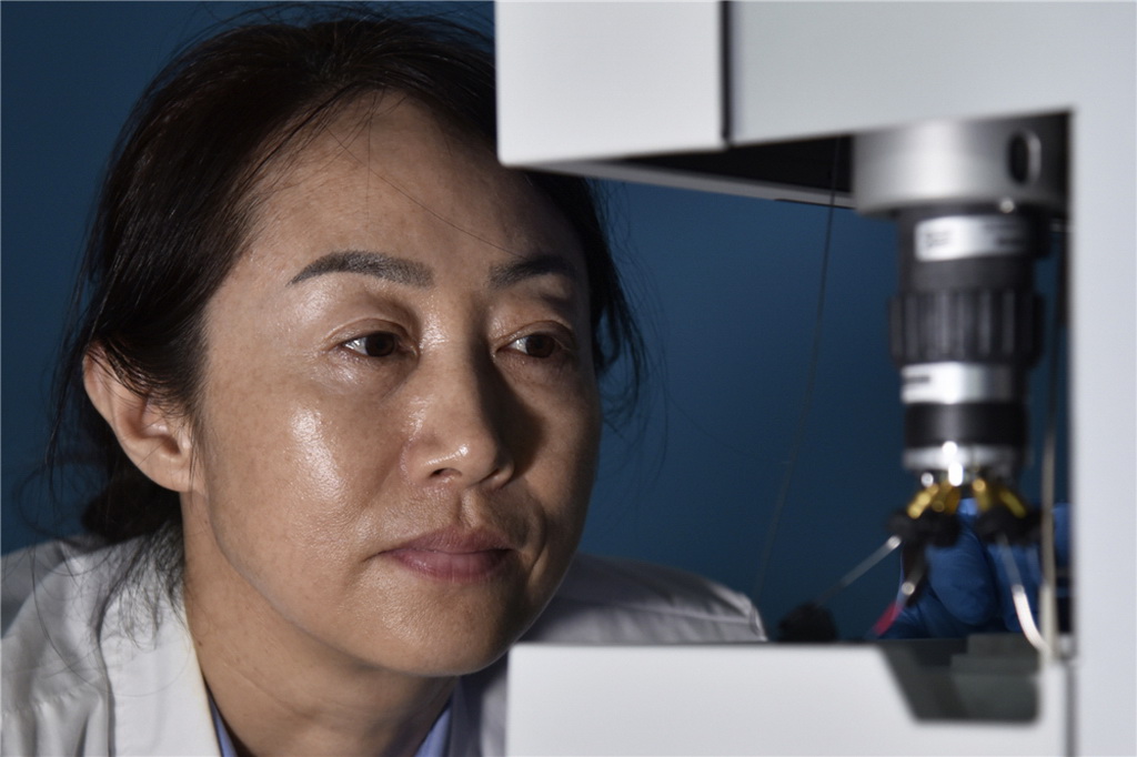 2.һzƈ۱(zӰ)