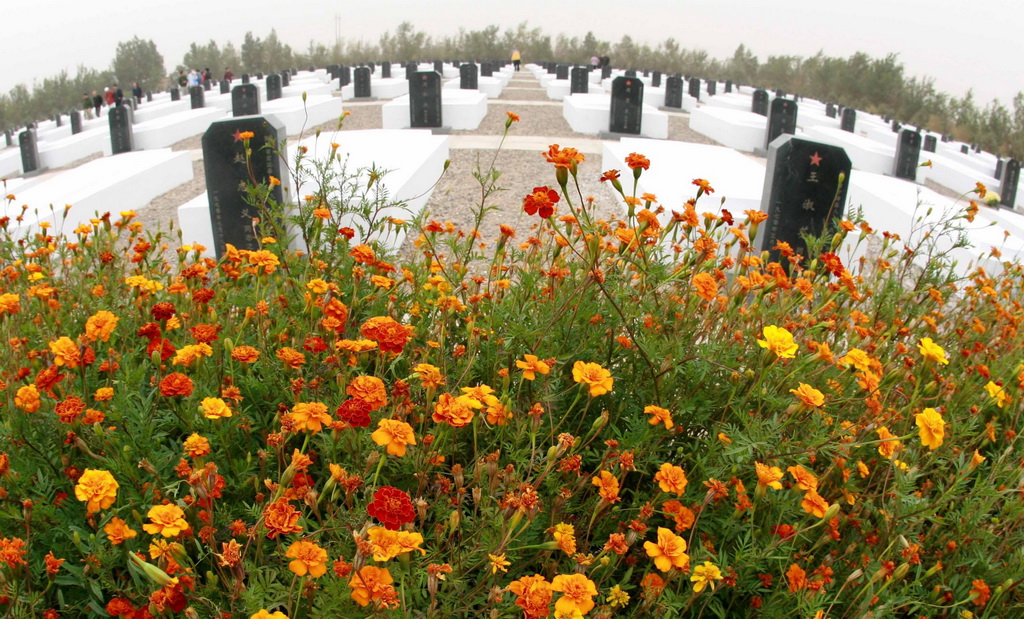 ʢ_rLږ|Lʿ@Ӣۂ200693ՔzAӛ d z