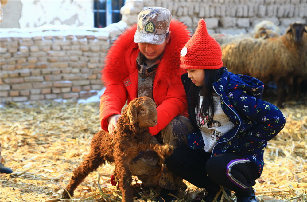 34.1988ƽx_l½1992x½aOFʮĈFB錍Fĵط_ʼ¸I֮·đа̝po˸ҳа300ֻһcB꠺ӆ400سаͬͨ^ڄڵpKڔ[ÓؚһwжBh֧ˡƽͷȺyo|Y180fԪDƽͷYӼͥοwA z