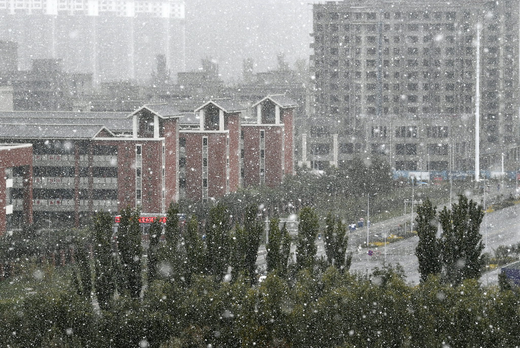 這是在銀川市街頭拍攝的雪景（10月14日攝）。