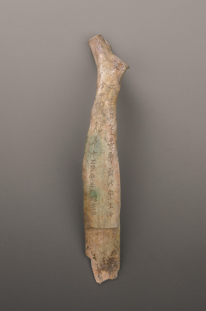 @ӋչSذӛ¿oYƬ