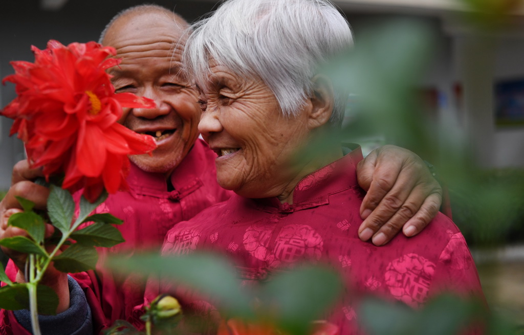 1015ˮӹھԺp