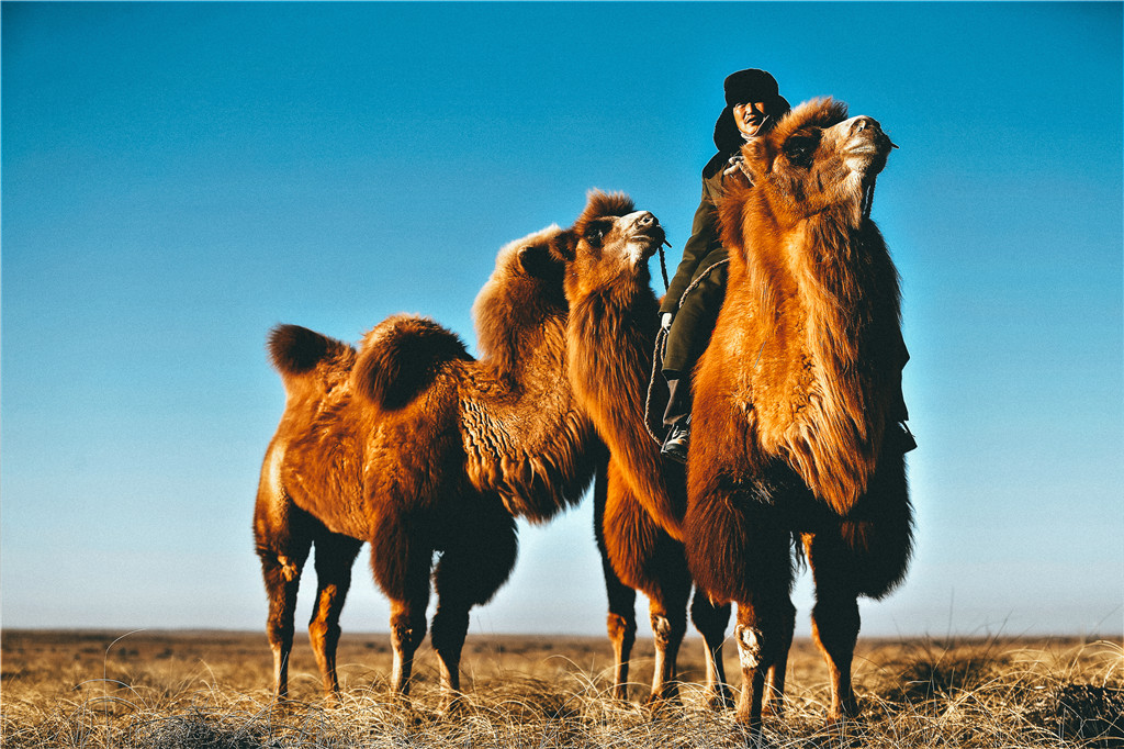 _ĽwzӰ혣_˹壩ӰWʮУ^СW꼉