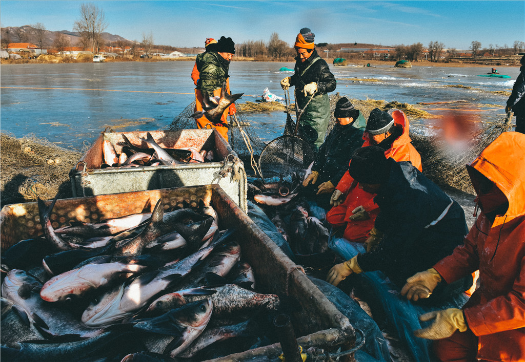 ϲ~zӰ죨h壩ӰWʮУ^һ꼉