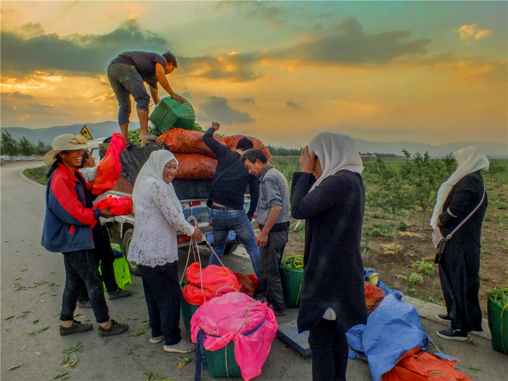 SաzӰأh壩ȫӰW̡ʮУ^ж꼉