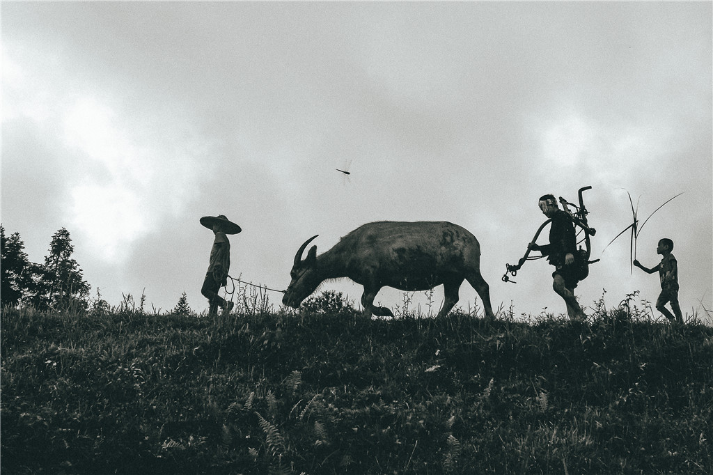  zӰФã壩ӰWУ^ж꼉