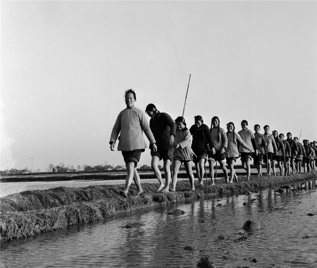 19.1964KʡhСoDŮ܊ f z