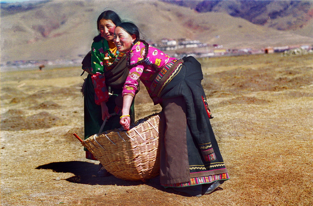 26.2002ĴwԭϵٔDŮ ͤ z