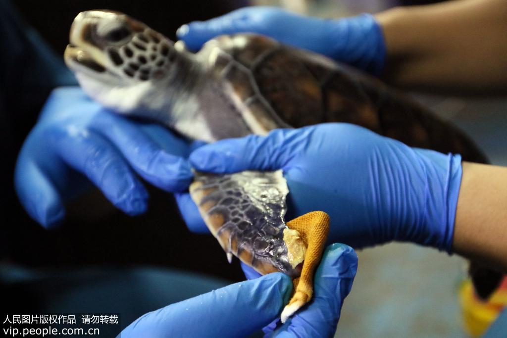 2019115ɽ|_L󹫈@ĹˆT麣܂ˎ